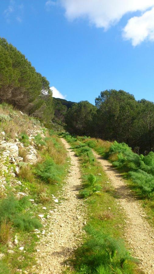 Ostello Cielo D'Alcamo Exteriér fotografie
